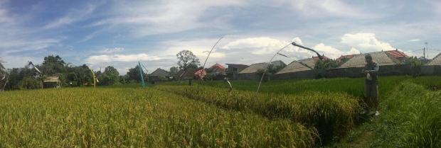 photo: Tanah 10 are disewakan di Kerobokan, Bali