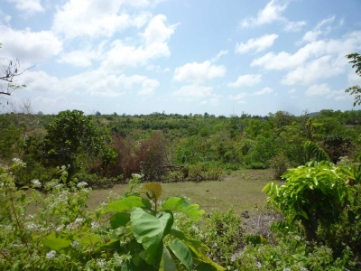 photo: 巴厘岛Uluwatu区10000㎡永久土地出售