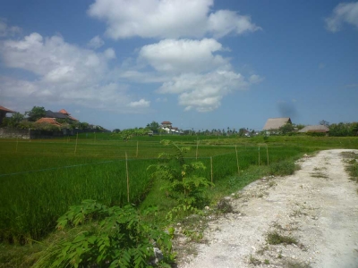 photo: 168-are land for lease in Berawa, Bali