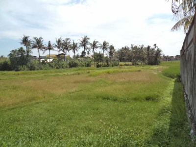 photo: 35-are land for lease in Berawa, Bali