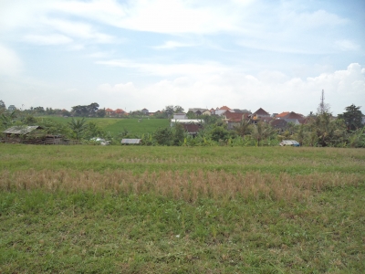 photo: 30-are land for lease in Berawa, Bali