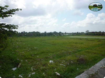 photo: 10-are land for lease in Canggu, Bali