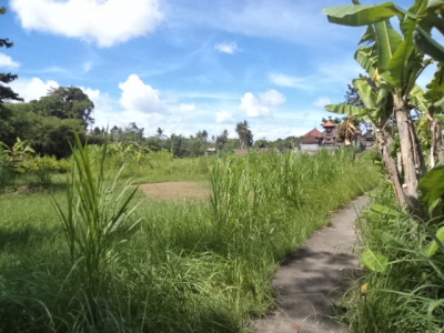 photo: 5-are land for lease in Kerobokan, Bali