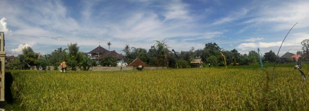 photo: 53-are land for lease in Kerobokan, Bali