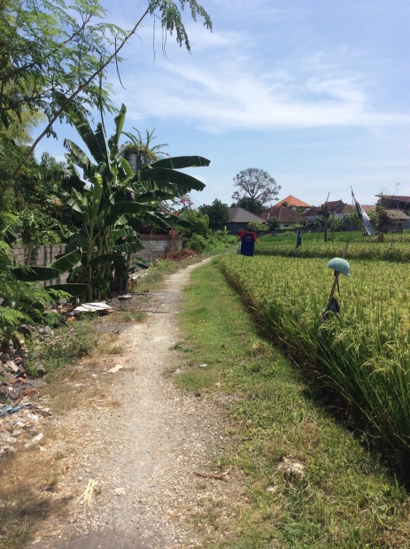 photo: 10-are land for lease in Kerobokan, Bali