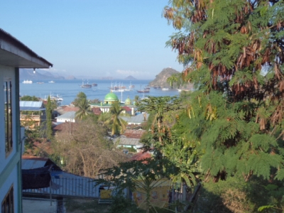 photo: 15-are land for lease in Labuan Bajo, Flores