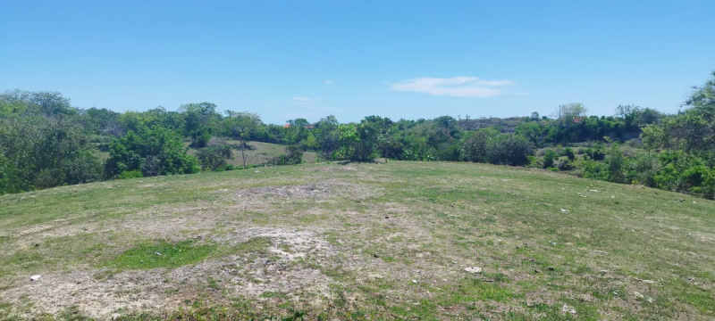 photo: 34.8-are land for lease in Pandawa, Bali