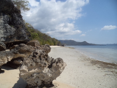 photo: 1300-are land for lease in Rangko, Flores