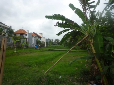 photo: 30-are land for lease in Seminyak, Bali
