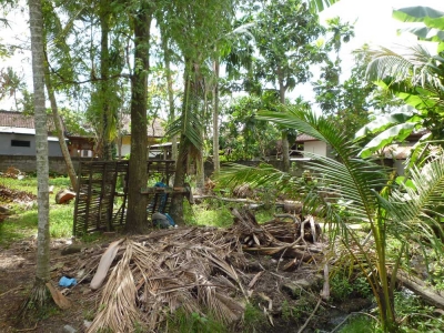 photo: 5-are land for lease in Umalas, Bali