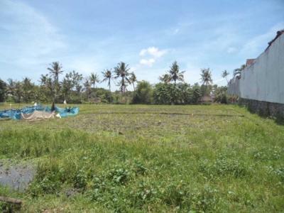 photo: 20-are land for lease in Umalas, Bali