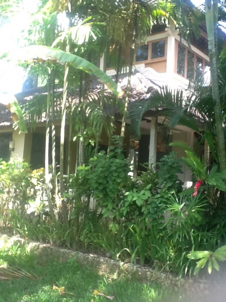 photo: 10-are land for lease in Umalas, Bali