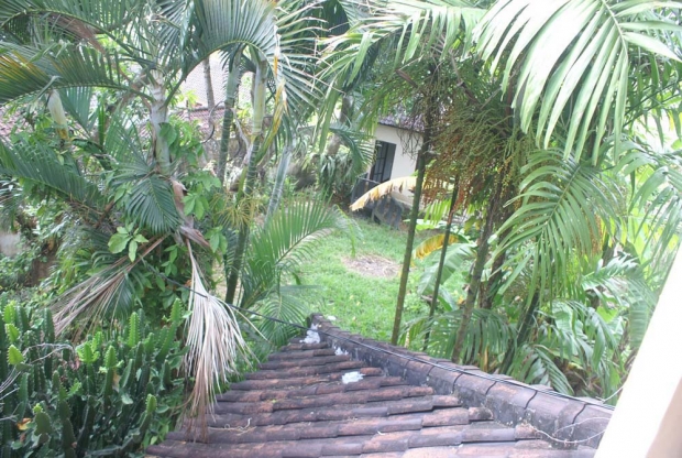photo: 10-are land for lease in Umalas, Bali