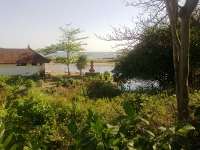 photo: 49-are freehold land for sale in Berawa, Bali