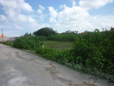 photo: 5-are freehold land for sale in Canggu, Bali