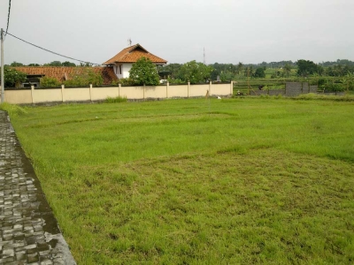 photo: 11-are freehold land for sale in Canggu, Bali
