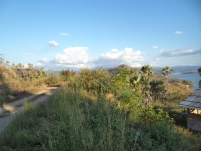 photo: 300-are freehold land for sale in Labuan Bajo, Flores