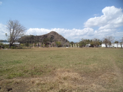 photo: 45-are freehold land for sale in Labuan Bajo, Flores