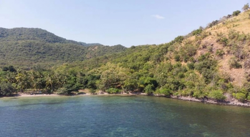photo: 602.02-are freehold land for sale in Labuan Bajo, Flores
