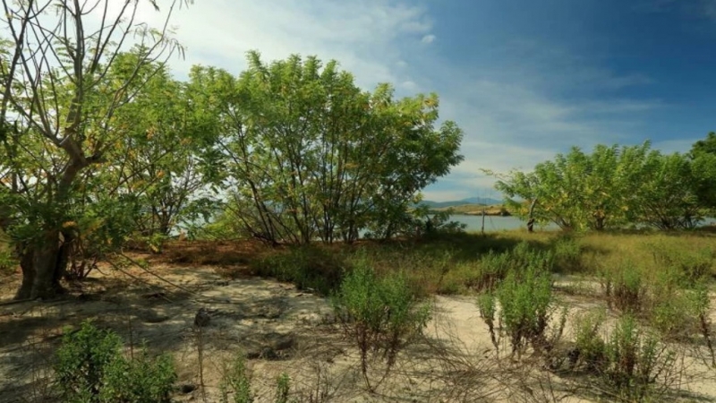 photo: 92-are freehold land for sale in Labuan Bajo, Flores