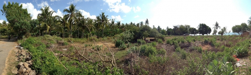 photo: 53-are freehold land for sale in Lovina, Bali
