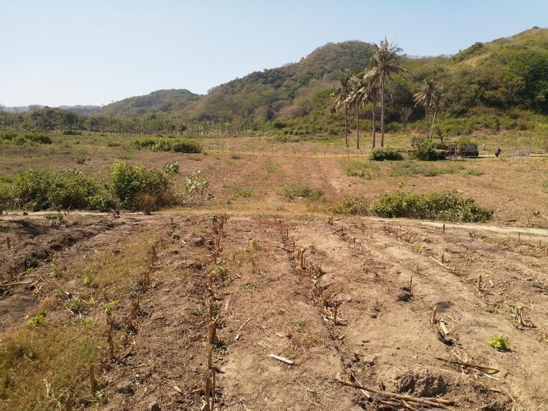 photo: 9600-are freehold land for sale in Mawi Beach, Lombok