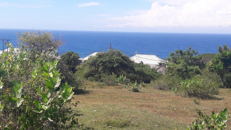 photo: 200-are freehold land for sale in Pandawa, Bali
