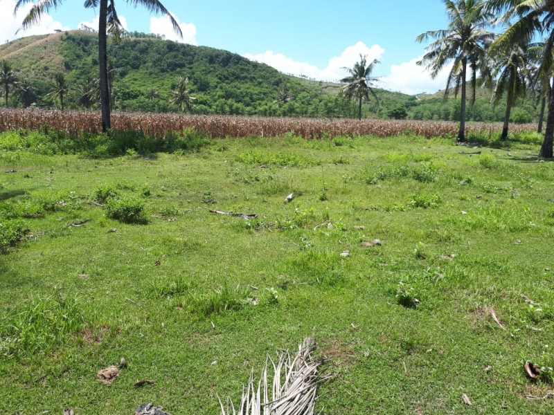 photo: 244-are freehold land for sale in Pantai Meang, Lombok