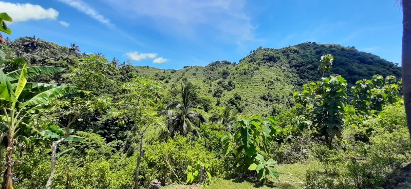 photo: 40-are freehold land for sale in Pantai Torok, Lombok