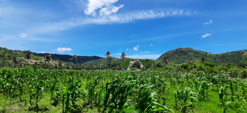 photo: 130-are freehold land for sale in Pantai Torok, Lombok