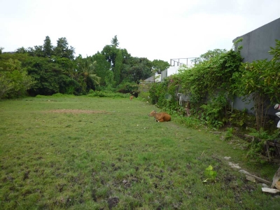 photo: 20-are freehold land for sale in Petitenget, Bali