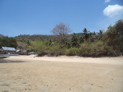 photo: 200-are freehold land for sale in Rangko, Flores