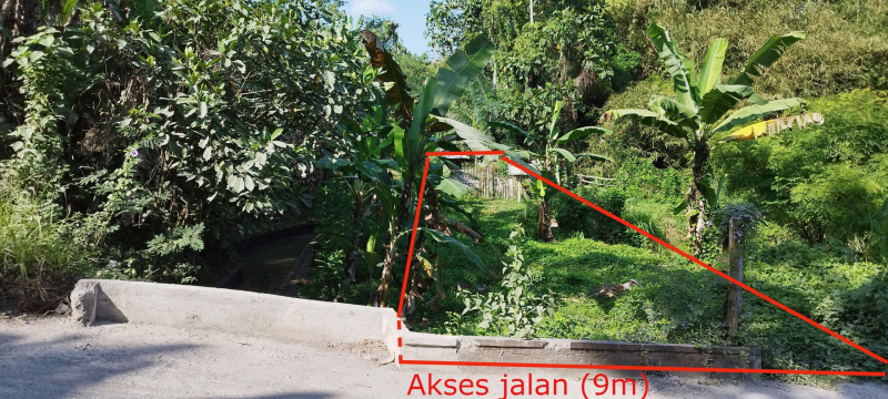 photo: 4.5-are freehold land for sale in Tabanan, Bali