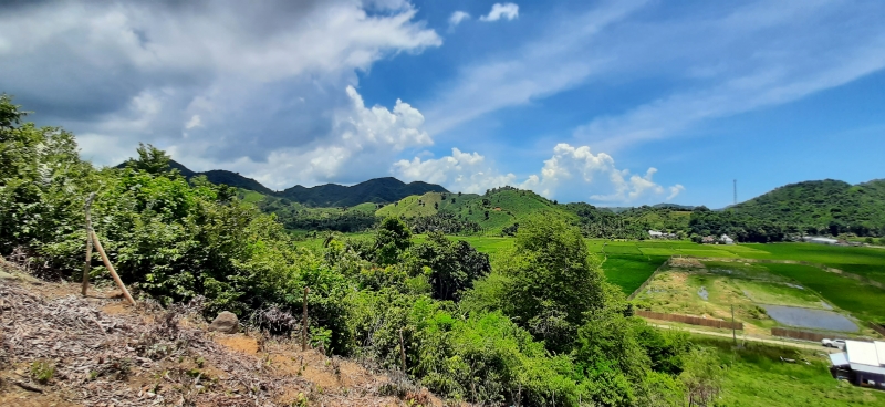 photo: 40-are freehold land for sale in Tampah, Lombok