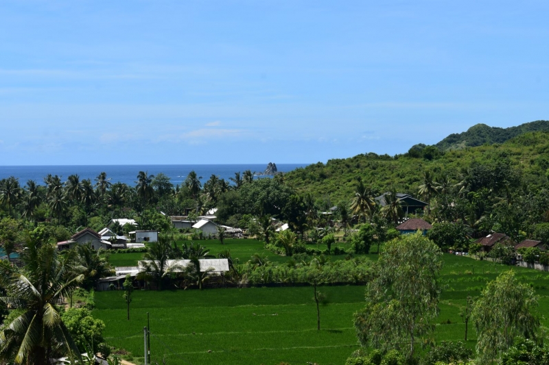 photo: 20-are freehold land for sale in Tampah Beach, Lombok