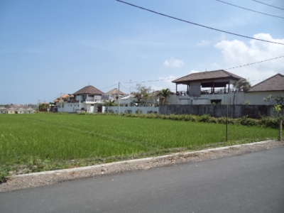 photo: 80-are freehold land for sale in Umalas, Bali
