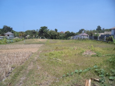 photo: 27-are freehold land for sale in Umalas, Bali