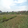 land for lease Berawa Bali