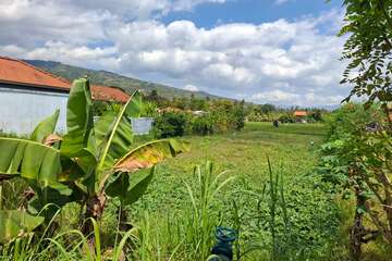 location terrain Lovina Bali