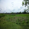 land for lease Seminyak Bali