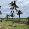 land for lease Tabanan Bali