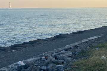 freehold land for sale Lovina Bali