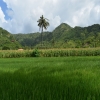 freehold land for sale Pantai Serangan Lombok