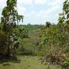 freehold land for sale Uluwatu Bali