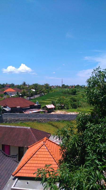 photo: 2 appartments roof top umalas near french school for sale (lease) in Umalas, Bali